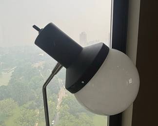 Mid-Century Modern Adjustable Floor Lamp with Frosted Glass Globe