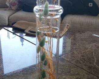 Glass Cloche with Dried Botanicals