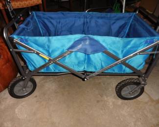 Childs Wagon