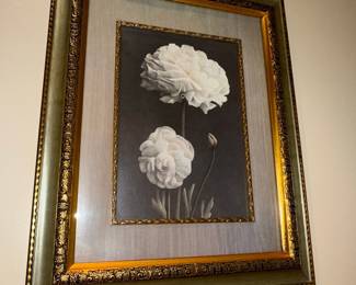 Framed Botanical Print of White Peonies