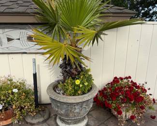 Large Decorative Planter with Palm Tree