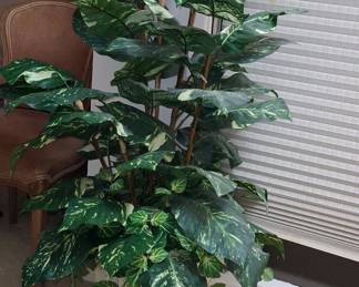 Artificial Dieffenbachia Plant in Decorative Pot