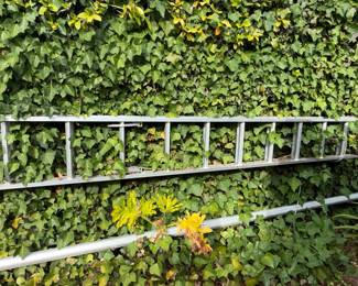 Aluminum Extension Ladder
