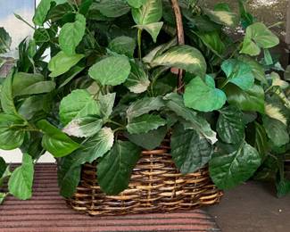 Artificial Pothos Plant in Wicker Basket