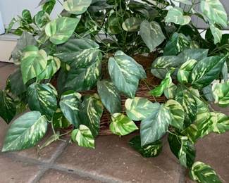 Artificial Pothos 'Marble Queen' Plant in Wicker Basket