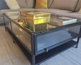Glass and Metal Display Coffee Table