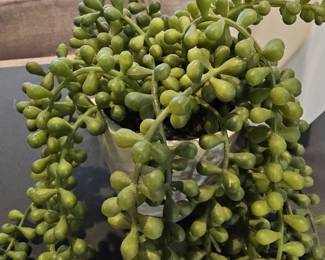 Artificial String of Pearls Succulent Plant in Metallic Pot