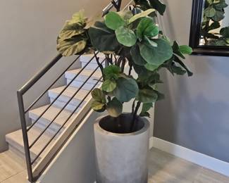 Fiddle Leaf Fig Tree in Cylindrical Planter