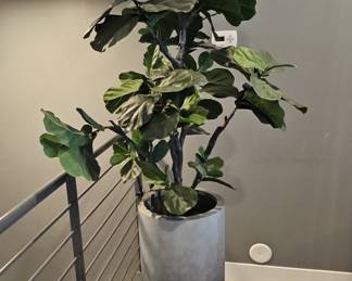 Artificial Fiddle Leaf Fig Tree in Cylindrical Planter