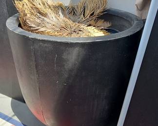 Large Black Fiberglass Planter with Dead Sago Palm
