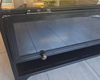 Glass and Metal Display Coffee Table