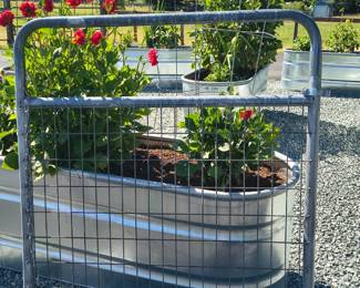 Gate for sale only not livestock feeder