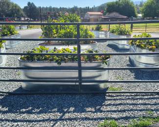 Gate for sale only not livestock feeder