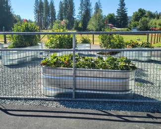 Gate for sale only not livestock feeder