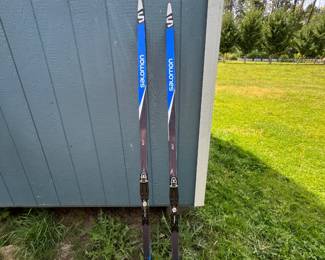 Skis