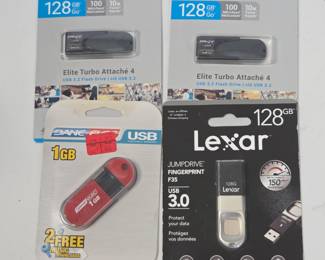 Lot #B73 - PNY Elite Turbo Attaché 4 128GB USB 3.2 Flash Drives & Lexar 128GB USB 3.0 Fingerprint JumpDrive, Dane-Elec 1GB USB Flash Drives