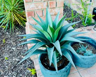 Planters