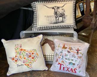 TEXAS THEMED PILLOWS