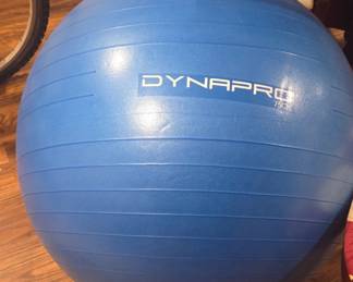 Large exercise ball