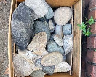 Aquariums & Supplies!
