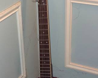 VTG Remo Weatherking Banjo!