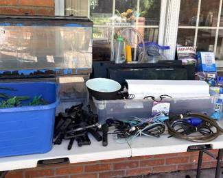 Aquariums & Supplies!