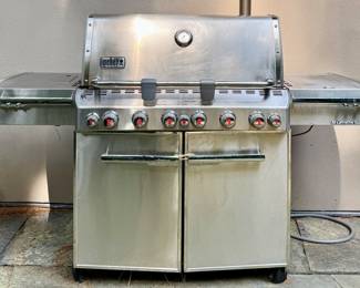 Weber Summit Grill