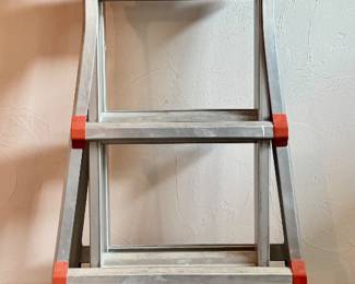 Little Giant Ladder System