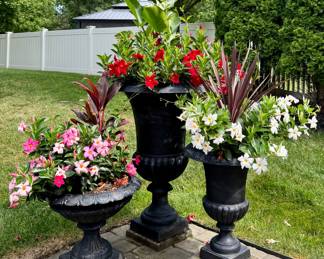 Cast Iron Planters