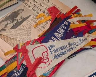 Variety of Sport Pennants