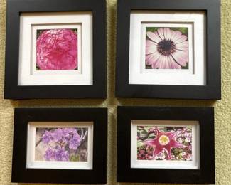 161 setof4floralphotosinframes