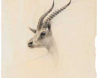 2069 21st Century Illustration School "Thomson's Gazelle," 2005 Pencil on paper Appears unsigned; titled, dated "Spring 2005," and inscribed partially indistinctly, verso Sheet: 10 x 6 1/2in Estimate: $200 - $300