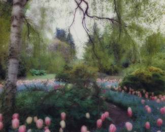 2220 Lynn Geesaman (1938-2020) Flowering garden Chromogenic print on photographic paper From an edition of unknown size and date Appears unsigned 18 3/4 x 18 3/4in Estimate: $200 - $300