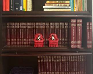 Carefully Maintained Home Library Collection