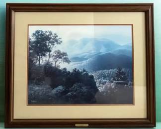 Framed Dalhart Windberg A Flourish of Natures Hues Lithograph Print