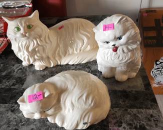 Kitty cats