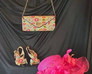 J. Renee Matching Purse And Shoes  Forbusite Derby Hat