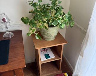 Realistic artificial pothos plant, wooden end table