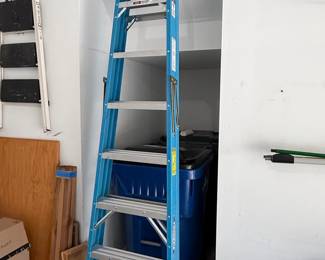 Werner 6' Fiberglass Stepladder