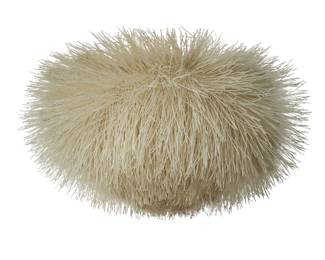 urchin light pendant