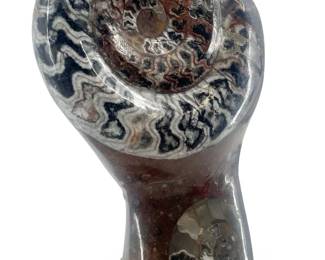 Large Polished Fossilized Ammonite