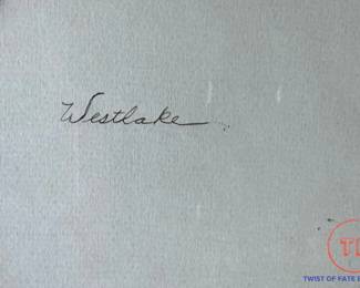 Signed Pastel Cougar by WESTLAKE