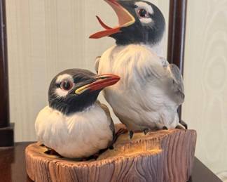 boehm gulls