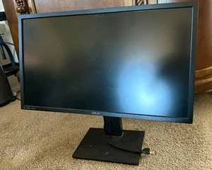 ASUS Computer Monitor with Adjustable Stand