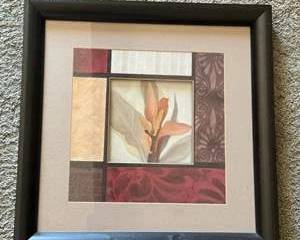 Framed Floral Art Print by Carol Robinson