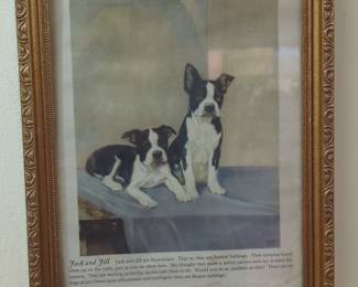 Jack and Jill Boston Bulldogs Vintage Print