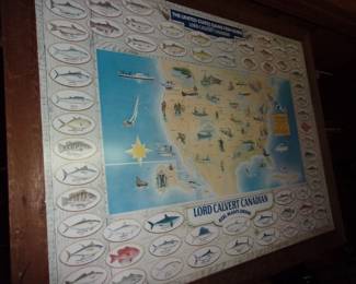 Large Fish Identifying Picture