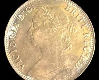 wIMG 5913 t