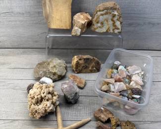 ROCKS MINERALS FOSSILS SEA LIFE GEODE CRYSTALS