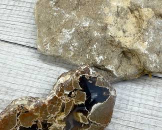 ROCKS MINERALS FOSSILS SEA LIFE GEODE CRYSTALS
